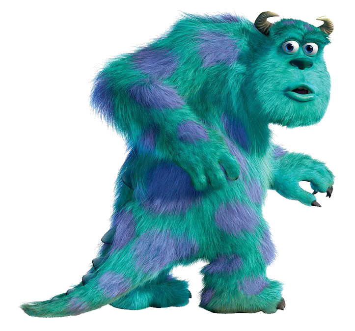 Sulley Sullivan